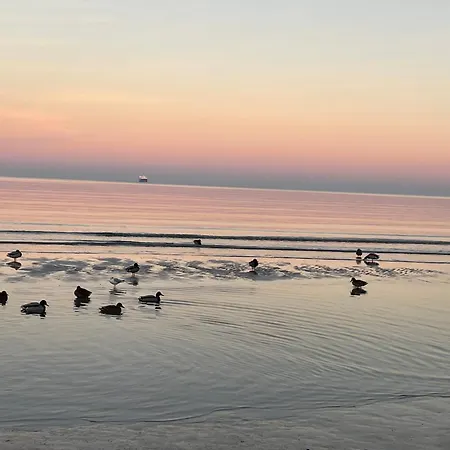 Beatrice - Inseltraum Mit Grossem Garten Und Strandkorb Am Binz