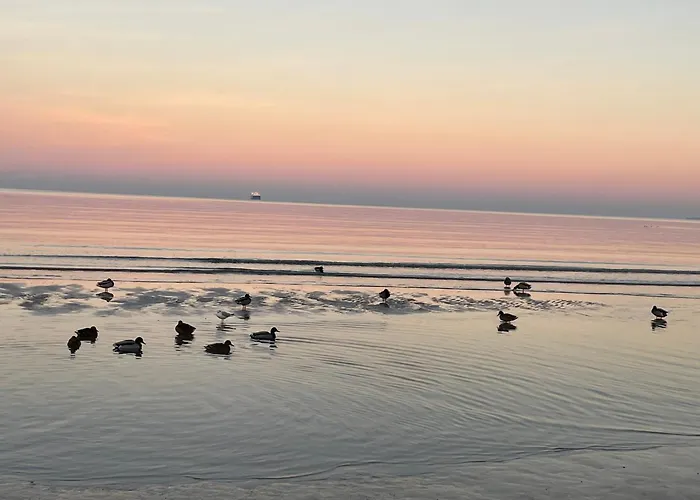 Beatrice - Inseltraum Mit Grossem Garten Und Strandkorb Am Binz